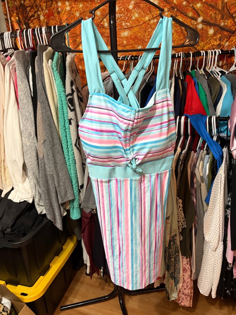 Source Unknown Striped Pastel Blue Pink Green Women Swim Dress